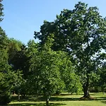 B&B Le Bosc De Castang