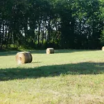 Le Bosc De Castang B&B