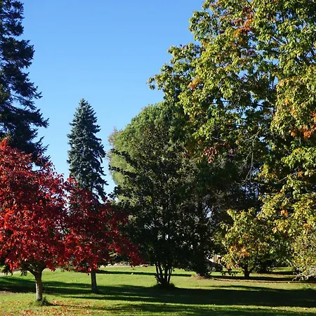 Le Bosc De Castang Pressignac-Vicq