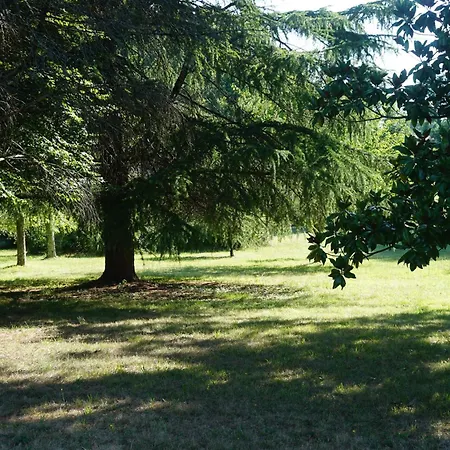 Le Bosc De Castang * Pressignac-Vicq