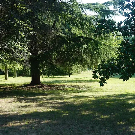 Le Bosc De Castang * Pressignac-Vicq
