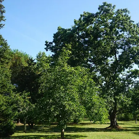 Bed & Breakfast Le Bosc De Castang
