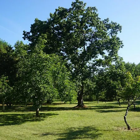 Le Bosc De Castang Bed & Breakfast Pressignac-Vicq